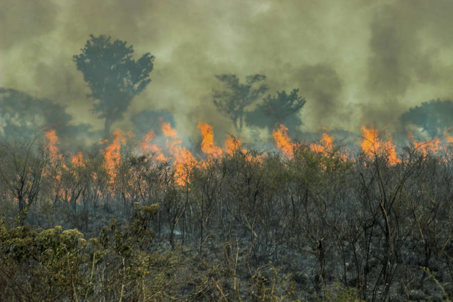 Queimadas são um dos principais fatores para o aquecimento global (dreamstime, Tatsiana Hendzel)