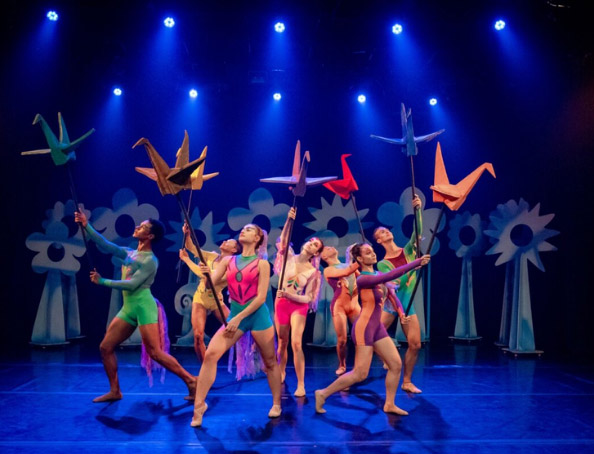 Espetáculo “O Pássaro de Toda Cor” do Projeto Dançar a Vida (RJ) (acervo Petite Danse)