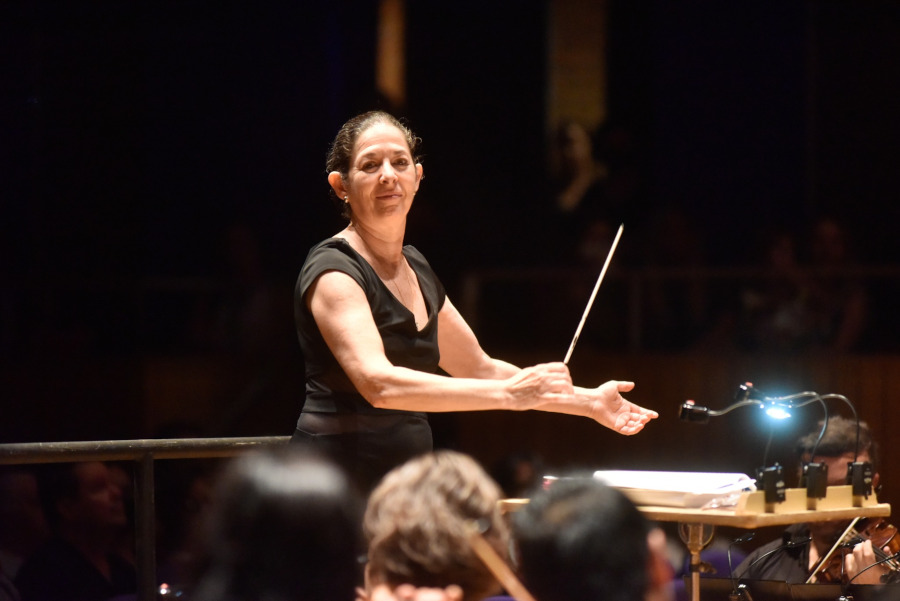 Claudia Feres rege a Camerata do Festival no dia 13 [Divulgação]