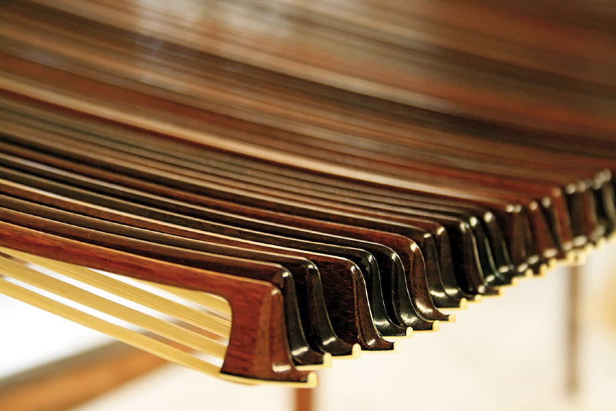 Arcos de pau-brasil (Reprodução O som do pau-brasil, Luciana Ferraz, Interface Filmes)