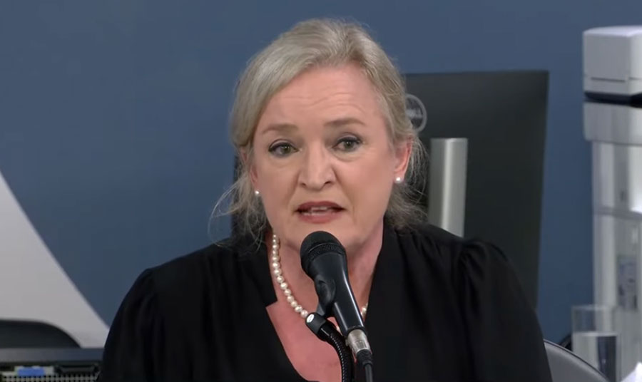 Maestra Ligia Amadio durante a Audiência Pública (reprodução YouTube)