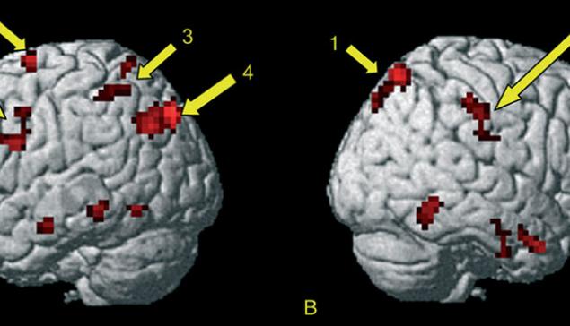 Revista Concerto Neurociência