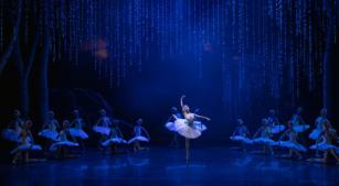 O lago dos cisnes, produção da São Paulo Companhia de Dança (divulgação, Marcelo Machado)