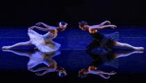 São Paulo Companhia de Dança em O lago dos cisnes Divulgação/Charles Lima]