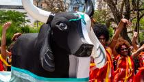 Festival de Parintins é tema de curso com curadoria de Waleska Gomes e Arthur Santos [Guilherme Herrera/Acervo SPED]